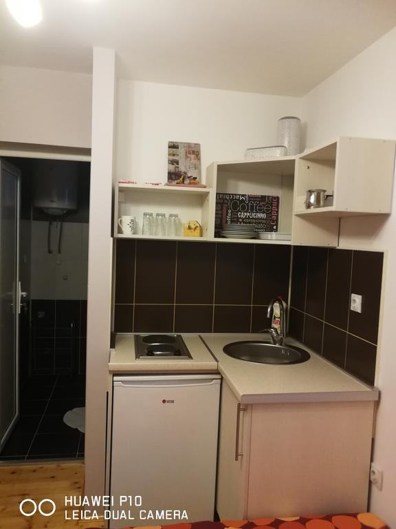 Studio Lenka Soko Banja Dış mekan fotoğraf