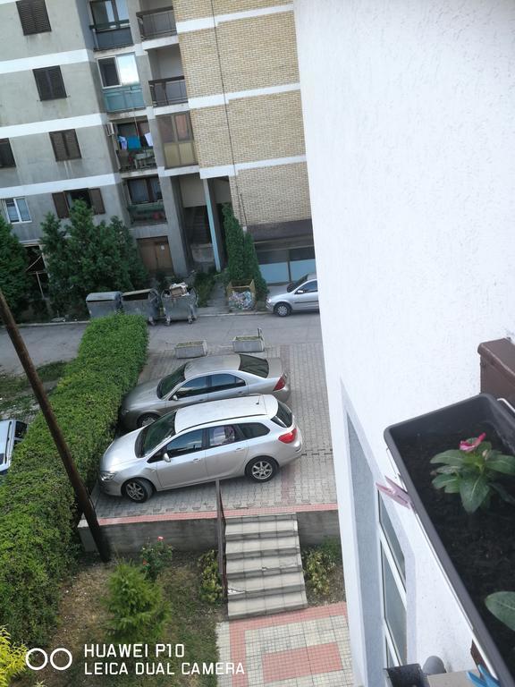 Studio Lenka Soko Banja Dış mekan fotoğraf